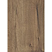 LOGOCLIC Ambienta Laminat  (Hrast Apolo, Rustikalen videz, 1.288 x 195 x 10 mm) | 5143 - Logoclic Ambienta | GCDA - Laminatboden | GCD - Wand Boden Decke Leisten | GC - Wand Boden Decke Leisten | G - Holz/Bauelem | BAUHAUS