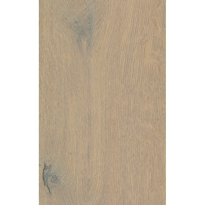 LOGOCLIC Aquaprotect Laminat  (Hrast Marea, Rustikalen videz, 1.288 x 195 x 8 mm) | 5127 - Logoclic Aqua Protect | GCDA - Laminatboden | GCD - Wand Boden Decke Leisten | GC - Wand Boden Decke Leisten | G - Holz/Bauelem | BAUHAUS