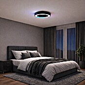 Brilliant Plafondventilator Catania met verlichting (Zwart, 48,6 cm) | BAUHAUS
