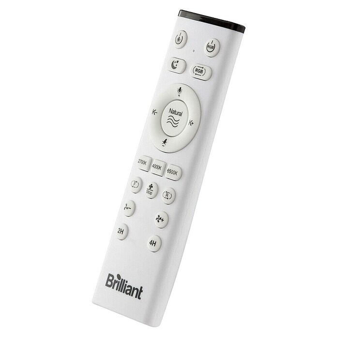 Brilliant Plafondventilator Fanora met verlichting (Zwart, 46 cm) | BAUHAUS