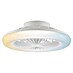 Brilliant Plafondventilator Montero met verlichting 