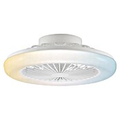 Brilliant Plafondventilator Montero met verlichting (Wit, 42 cm) | BAUHAUS