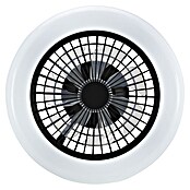 Brilliant Plafondventilator Montero met verlichting (Zwart, 42 cm) | BAUHAUS