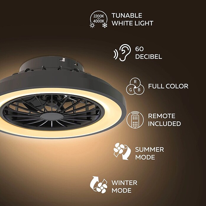 Calex Plafondventilator met verlichting (Zwart / Wit, 28,5 cm) | BAUHAUS