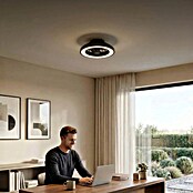 Calex Plafondventilator met verlichting (Zwart / Wit, 28,5 cm) | BAUHAUS