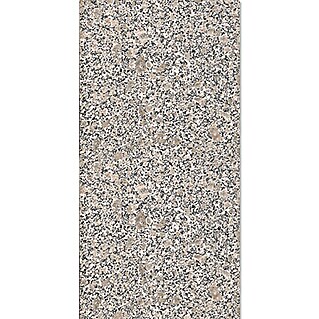 Pločica od prirodnog kamena Beta (30,5 x 61 cm, Bež boje, Sjaj)