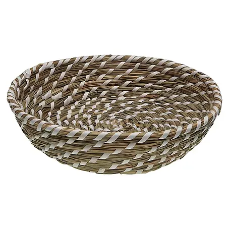 Versa  Cesta
