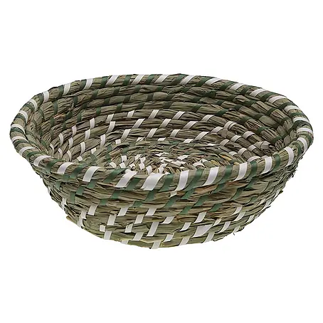 Versa  Cesta