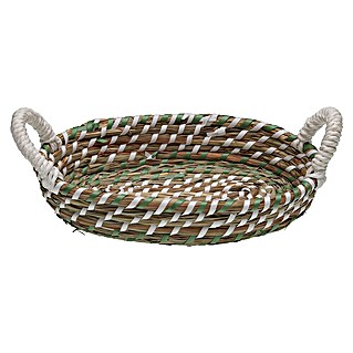 Versa Cesta con asas (L x An x Al: 26 x 17 x 6 cm, Verde y blanco)