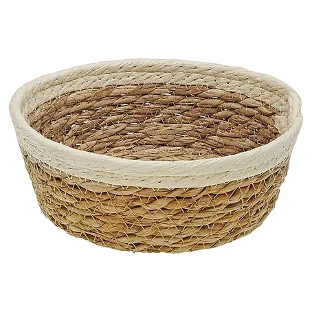 Versa  Cesta