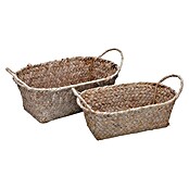 Versa Cesta (L x An x Al: 30 x 20 x 12 cm, Marrón, 2 pzs.) | BAUHAUS