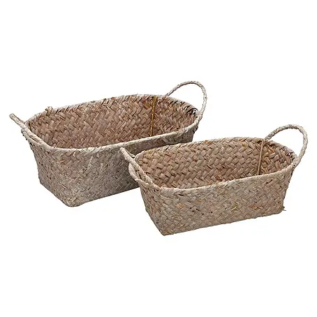 Versa  Cesta