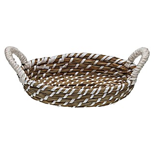 Versa Cesta con asas (L x An x Al: 35 x 19 x 9 cm, Blanco)