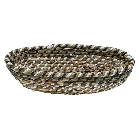 Versa  Cesta