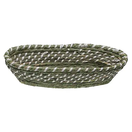 Versa  Cesta