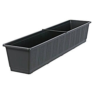 Geli Standard Jardinera para balcón (Longitud exterior máx.: 80 cm, Antracita)
