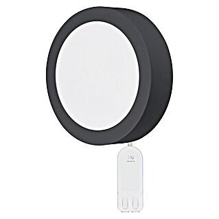 Ferotehna LED panel (Ø x V: 300 x 31 mm, 24 W, 2.280 lm, Antracit, Okrugla)