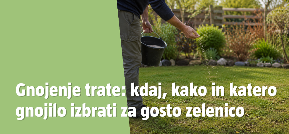 Gnojenje trate naslovna slika
