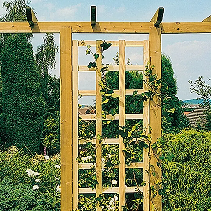 Rankgitter - B x H: 60 x 180 cm - Holzspalier mit Kletterpflanzen, ideal zur Gartengestaltung. Natürliche Optik und robuste Bauweise für langanhaltende Freude im Garten.
