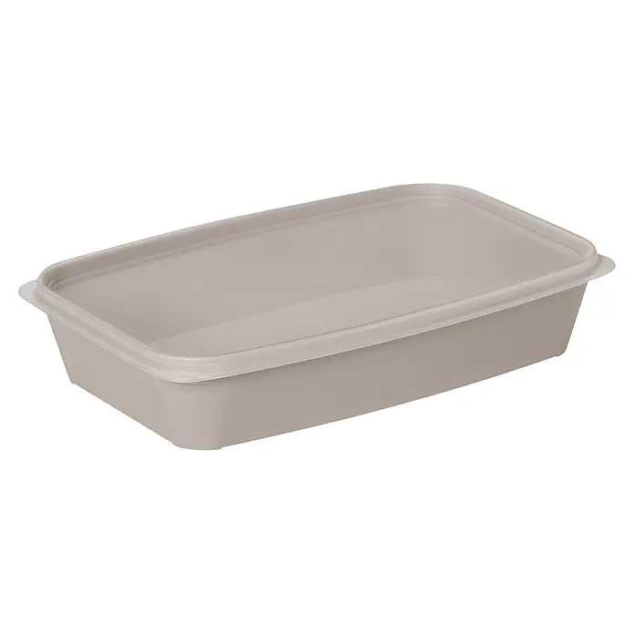 SmartStore Vorratsdose Easy - L x B x H: 24 x 16 x 5 cm, Kunststoff, Grau - Beiger Kunststoff-Frischhaltedose mit durchscheinendem Deckel.