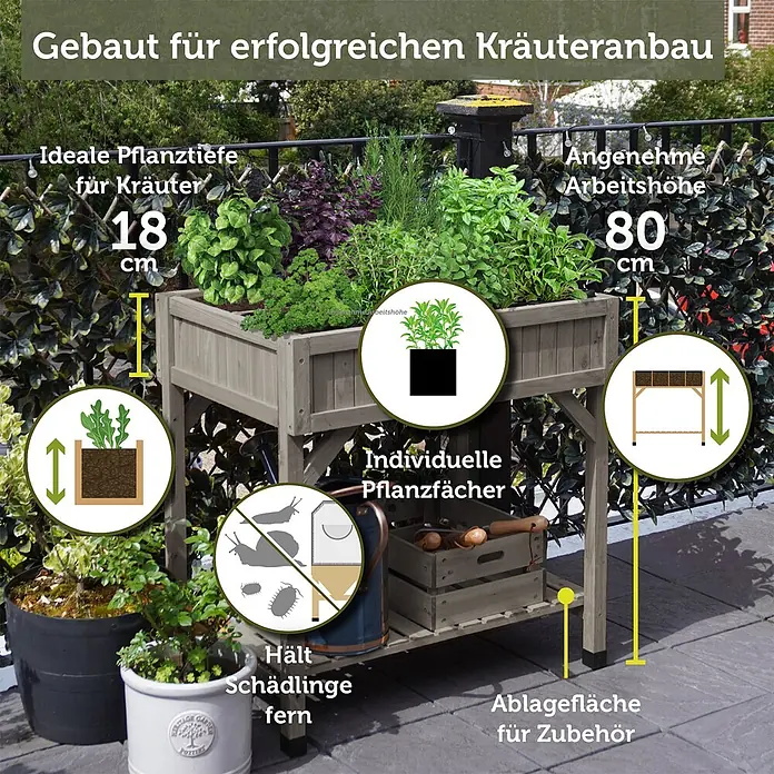 VegTrug Kräuterhochbeet - Material: Holz - Hölzernes Hochbeet für Kräuter, 80 cm hoch, mit 18 cm Pflanztiefe und Ablagefläche für Zubehör. Ideal für pestfreien Kräuteranbau.