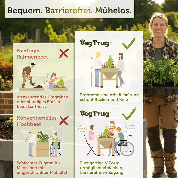 VegTrug Hochbeet Classic - Holz, Greywash - V-förmiges Hochbeet (VegTrug) im Vergleich zu traditionellen Beeten, betont ergonomisches Design und Rollstuhlzugang für einfaches Gärtnern.