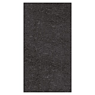 Futura by Palazzo Vloertegel (30 cm x 60 cm x 9 mm, Glanzend, Zwart, Gekalibreerd)
