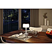 Paulmann Solar-Tischleuchte (Weiß, IP44, 2 700 K, Ø x H: 148 x 240 mm) | BAUHAUS