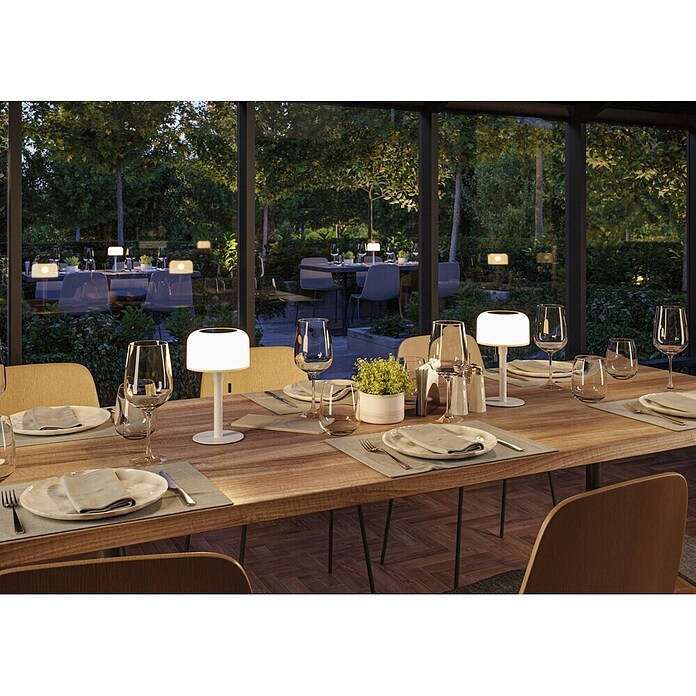 Paulmann Solar-Tischleuchte (Weiß, IP44, 2 700 K, Ø x H: 148 x 240 mm) | BAUHAUS