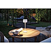 Paulmann Solar-Tischleuchte Else (Weiß, IP44, Ø x H: 102 x 305 mm) | BAUHAUS