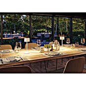 Paulmann Solar-Tischleuchte Else (Weiß, IP44, Ø x H: 102 x 305 mm) | BAUHAUS