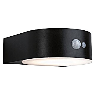 Paulmann Solarleuchte Eileen (Lichtfarbe: Warmweiß, LED, Höhe: 65 mm)