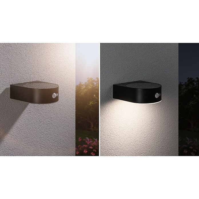 Paulmann Solarleuchte Eileen (Lichtfarbe: Warmweiß, LED, Höhe: 65 mm) | BAUHAUS