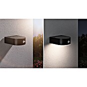 Paulmann Solarleuchte Eileen (Lichtfarbe: Warmweiß, LED, Höhe: 65 mm) | BAUHAUS