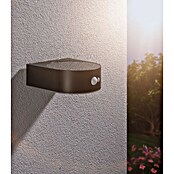 Paulmann Solarleuchte Eileen (Lichtfarbe: Warmweiß, LED, Höhe: 65 mm) | BAUHAUS