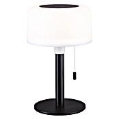 Paulmann Solar-Tischleuchte (Schwarz, IP44, 2 700 K, Ø x H: 148 x 240 mm) | BAUHAUS