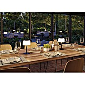 Paulmann Solar-Tischleuchte (Schwarz, IP44, 2 700 K, Ø x H: 148 x 240 mm) | BAUHAUS