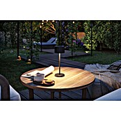 Paulmann Solar-Tischleuchte Else (Schwarz, IP44, Ø x H: 102 x 305 mm) | BAUHAUS
