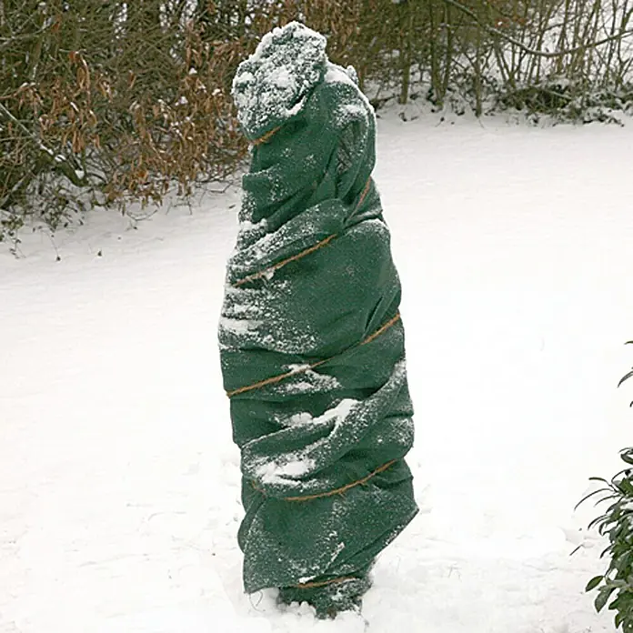 Floraworld Classic Jute-Gewebematte - Grün, 500 cm - Ein Winterschutz für Pflanzen, bestehend aus einer grünen Abdeckung, die um eine Pflanze gewickelt und mit brauner Schnur befestigt ist, um sie vor Frost zu schützen.