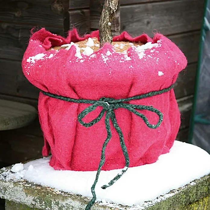 Floraworld Classic Jutevliesmatte - Rot, Länge: 150 cm - Nahaufnahme eines in leuchtend rotes Tuch gehüllten Pflanztopfes, mit einem grünen Seil umwickelt und auf einer schneebedeckten Oberfläche platziert.