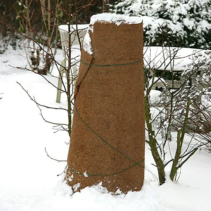 Floraworld Classic Kokosschutzmatte - 150 x 100 cm - Nahaufnahme eines Baumstamms, der mit einem braunen Kokosfaser-Winterschutz umwickelt ist, umgeben von Schnee.