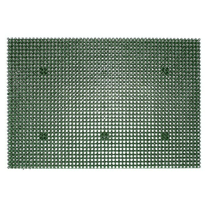 Astra Allwettermatte Season (Grün, 40 x 60 cm, 100 % Polyethylen)