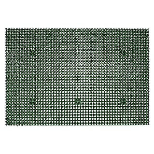Astra Estera impermeable Season (Verde, 40 x 60 cm, 100 % polietileno)