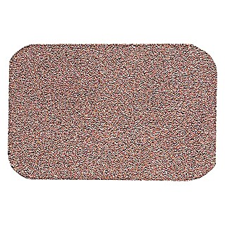 Astra Fußmatte Entra Saugaktiv (Uni, Beige, 75 x 130 cm, Material Nutzschicht: 100 % Baumwolle)
