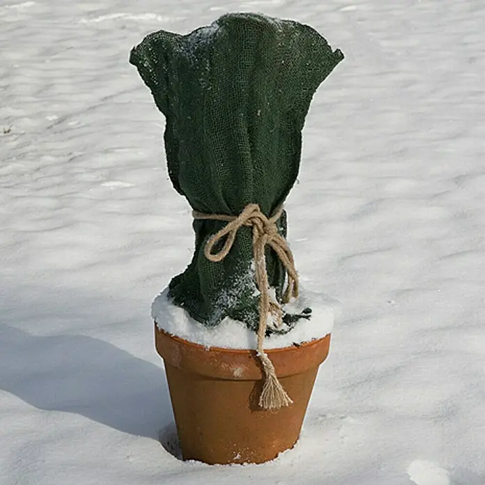 Floraworld Classic Gartensack - Grün, 80 cm - Winterharter Pflanzenschutz: Topfpflanze mit Jutesack und Seil vor Schnee geschützt. Ideal für kalte Tage!