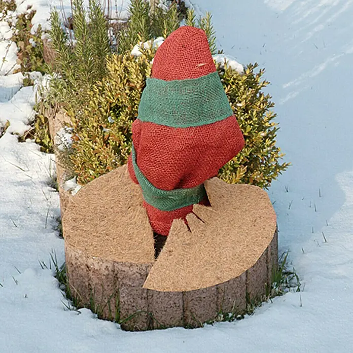 Floraworld Kokosmulchscheibe - 37 cm - Geschützter Strauch mit Jute und Kokosmatte im Wintergarten. Ideal, um Ihre Pflanzen vor Frost und Kälte zu schützen.