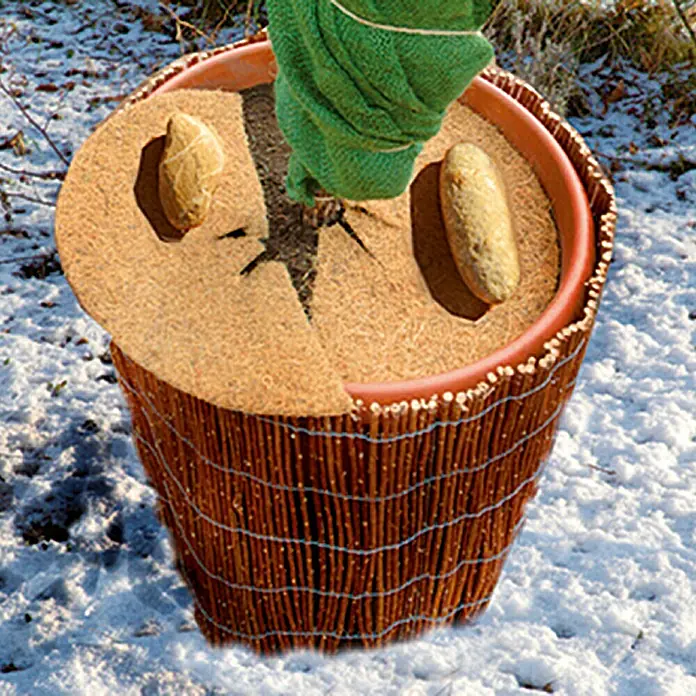 Floraworld Kokosmulchscheibe - 45 cm - Nahaufnahme eines Pflanzgefäßes mit Winterschutzmatte und Juteband zum Schutz vor Kälte und Frost im Winter.
