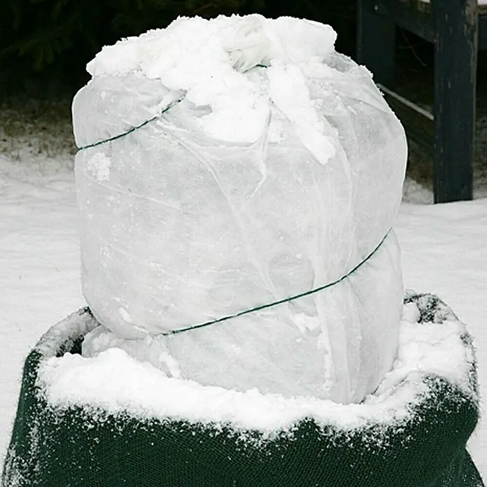 Floraworld Classic Winterschutzvlies - Weiß, 5 x 0,7 m - Nahaufnahme einer in Stoff gehüllten Pflanze in einem mit Schnee bedeckten Topf, die mit einem grünen Band festgebunden ist, im Wintergarten.