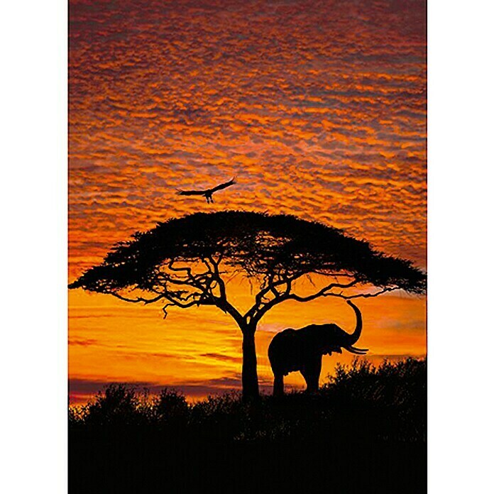 Komar Fototapete African Sunset (4-tlg., 194 x 270 cm, Papier)