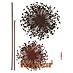 Komar Dekosticker Pusteblume 
